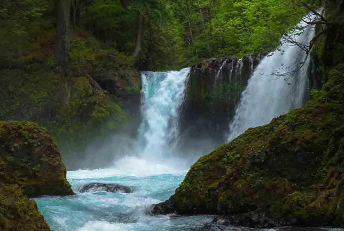 FREYR: Hvordan bygger man opp en organisasjons digitale ryggrad?