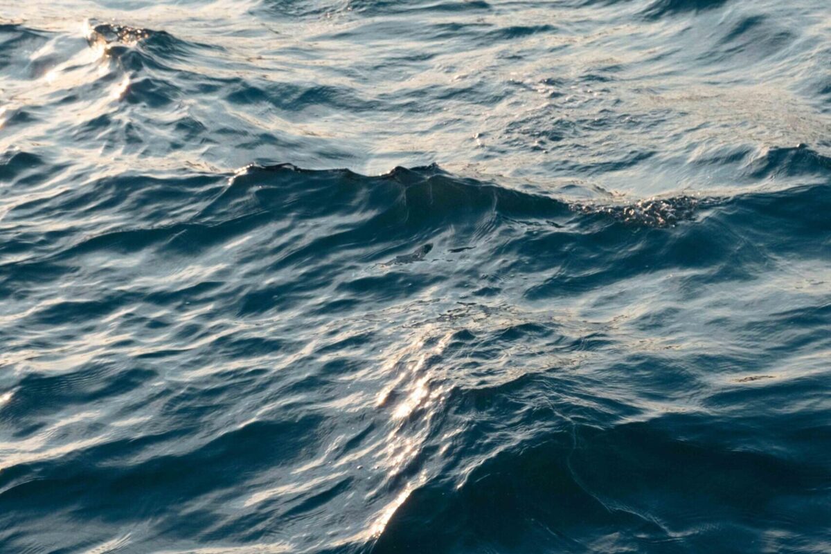 Statkraft Varme: Digitalt veikart